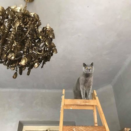 202316663_234980118436349_6603819501843308326_n