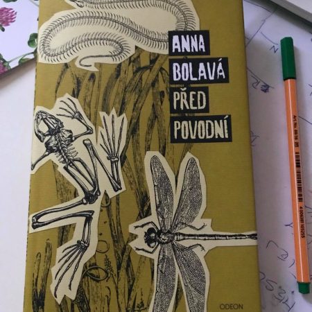 209349041_167827025388993_94354968615984244_n