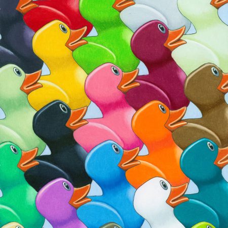 241005641_4732293053448215_4802094779885461866_n