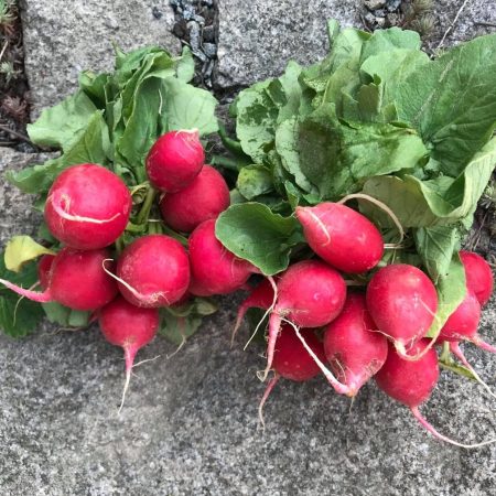 241480942_256298099555470_2767262171330337920_n