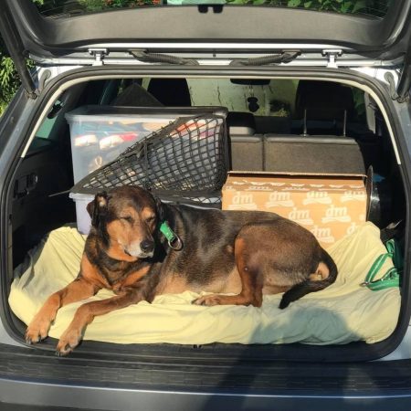 241688856_225783416258515_8360043219518590551_n