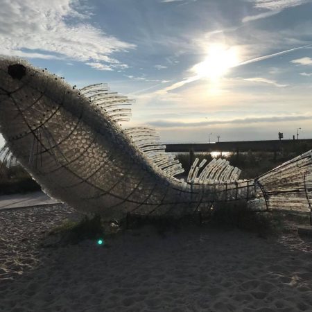 242218858_661188208618358_4234312263144191281_n