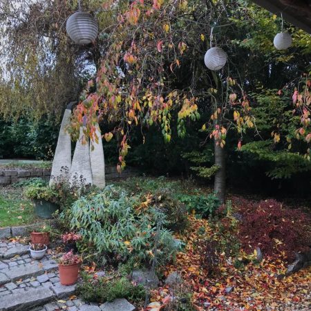 259323871_366900138566018_8339584574305474095_n