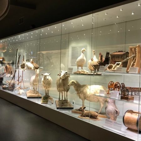 273828421_273880231525373_7136210600991028944_n