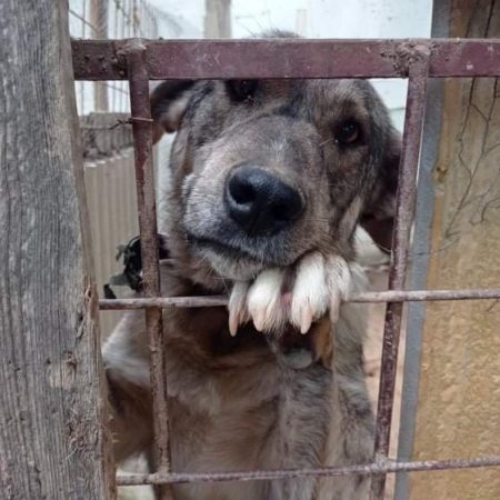 279383262_665570468072443_2210674991488661613_n