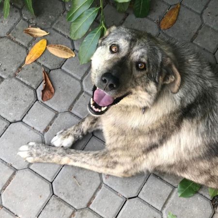 280876555_983031629071532_5139146920532478994_n