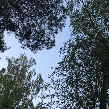 282745856_263012229348003_1464277809235139008_n