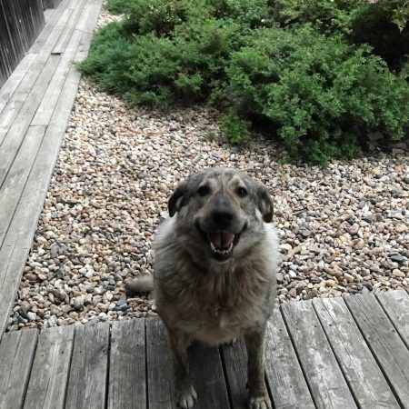 286276254_810501406592748_6562165043557088784_n