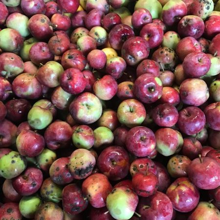 311066890_660917178942270_1900707924954590030_n